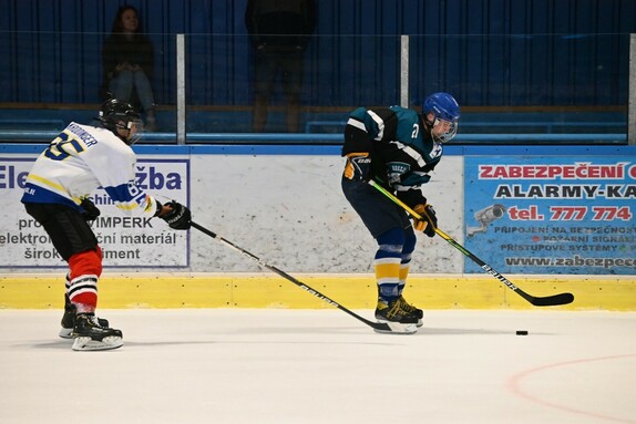 O Pohár starostky města Vimperk 1