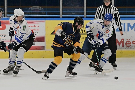 9. tř. - Střelci JH 2 14